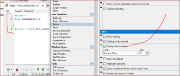 PL-SQL Developer USNA version shows line numbers.PNG