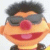 stevec