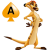 patch